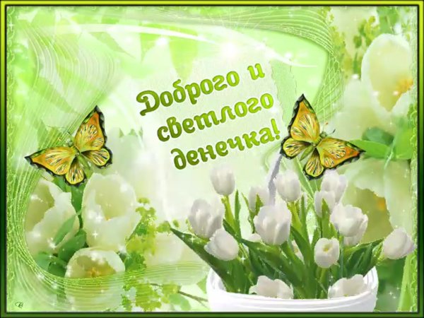 Добрый день