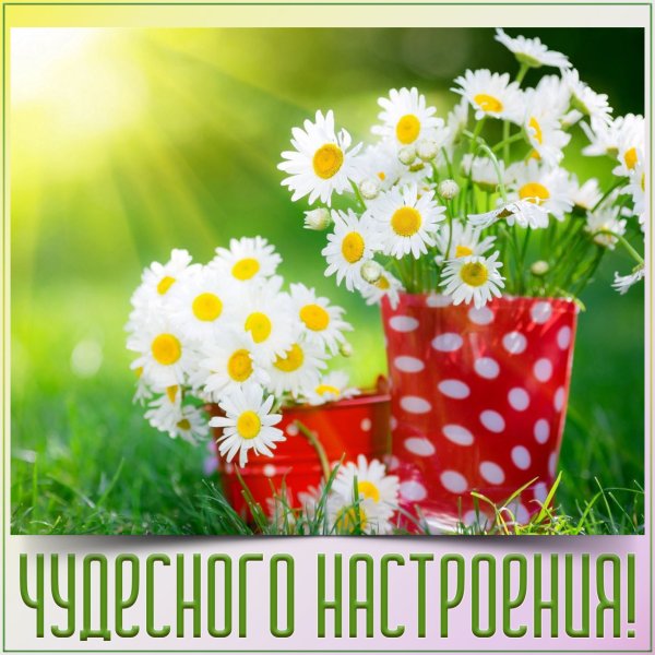 Доброе утро солнечного настроения