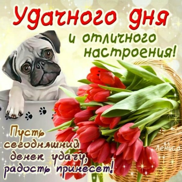 Удачного дня и хорошего настроения