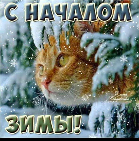 Поздравление с первым днем зимы