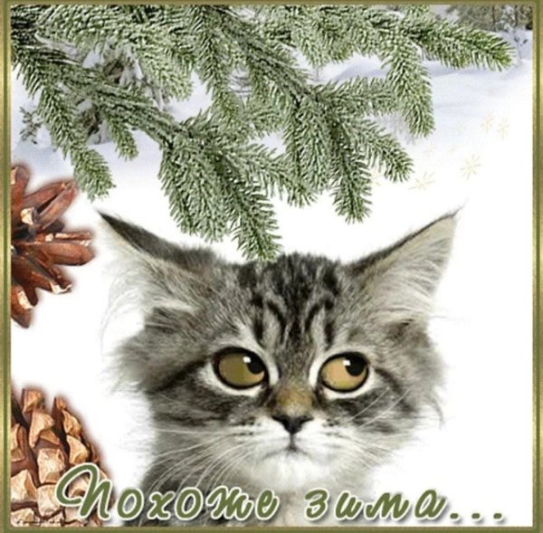 Первый снег