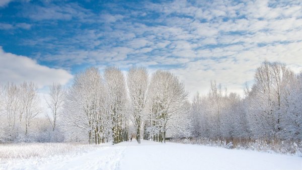 С первым днем зимы любимый