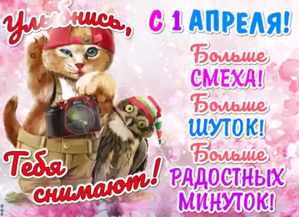 С днем фотографа поздравления
