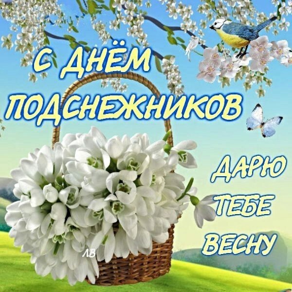 День подснежника