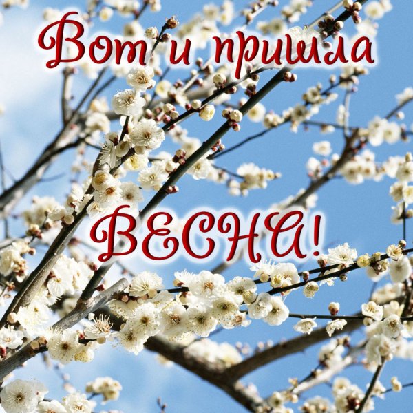 Весна пришла открытки