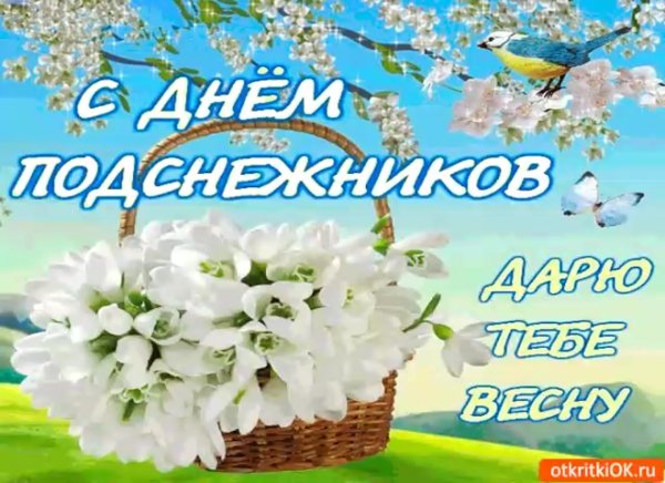 С днем подснежника открытки