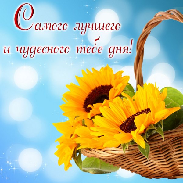 Открытки с пожеланиями хорошего дня