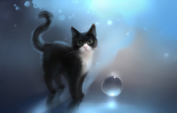 Кот арт