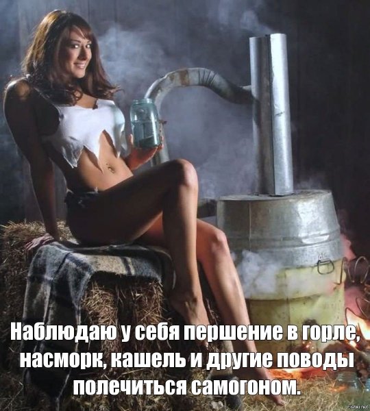 Девушка и самогонный аппарат
