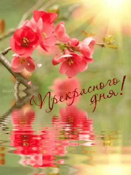 Прекрасный день