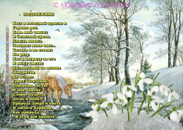 Животные в весеннем лесу