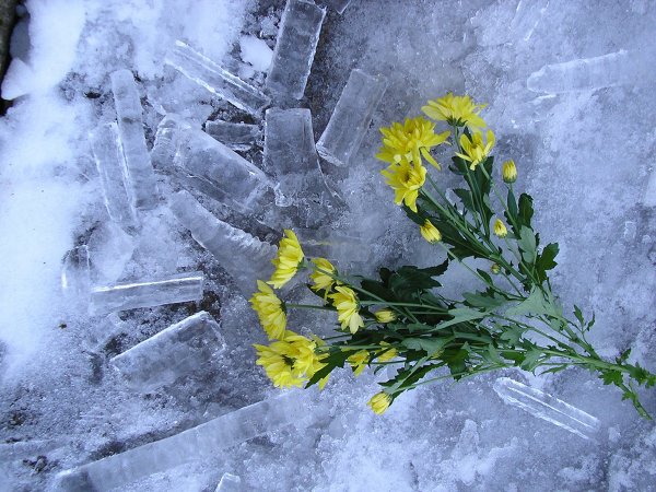28 Февраля природа