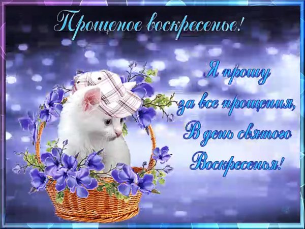 Открытки с прощённым воскресеньем