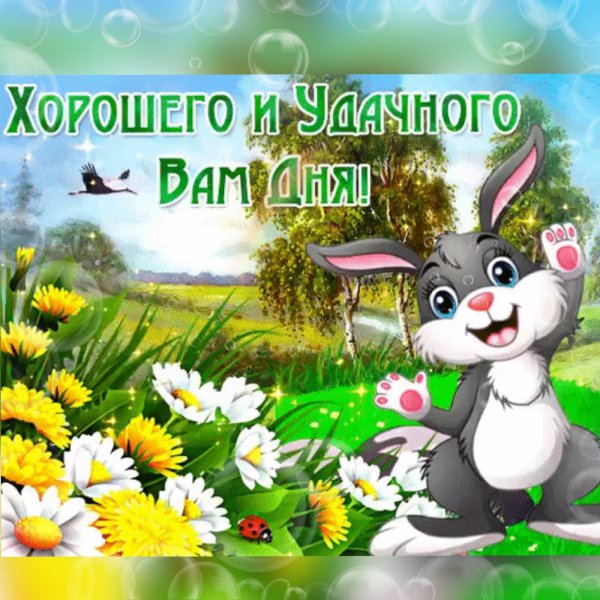 Удачного весеннего дня