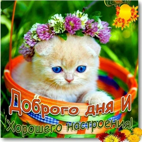 Приветик хорошего дня и настроения