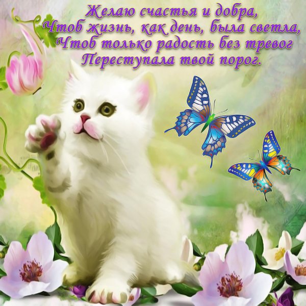 Красивые открытки с пожеланиями