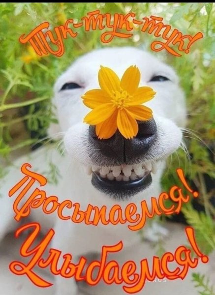 Позитивного дня и хорошего настроения