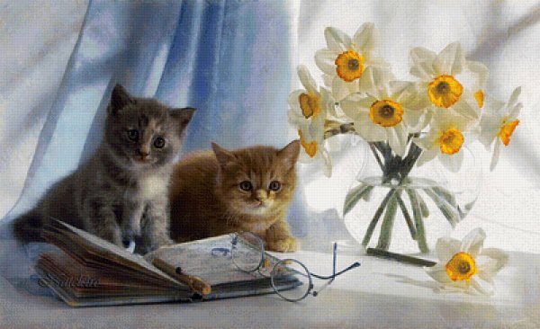 Нежные цветы и коты