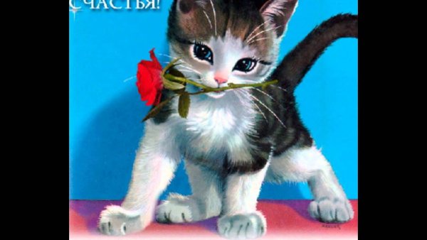 Котики с пожеланиями счастья