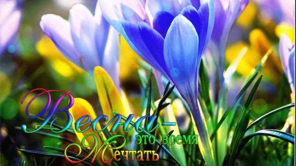 Весна цветы подснежники