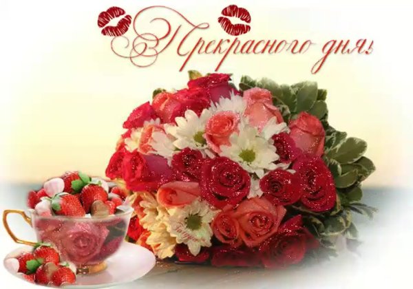 Доброго дня и прекрасного