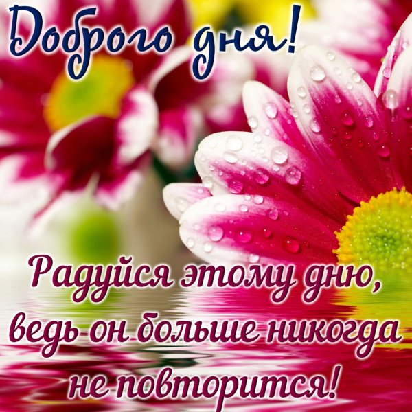 Пожелания доброго дня