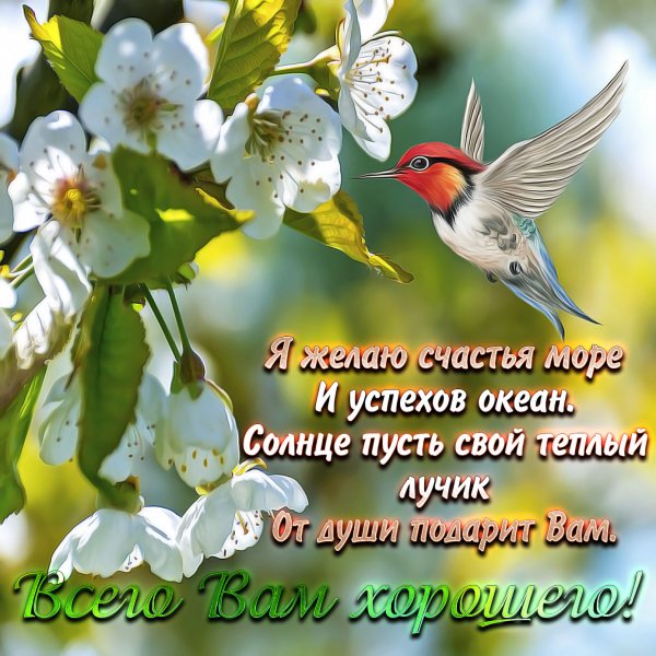 Чудесного утра