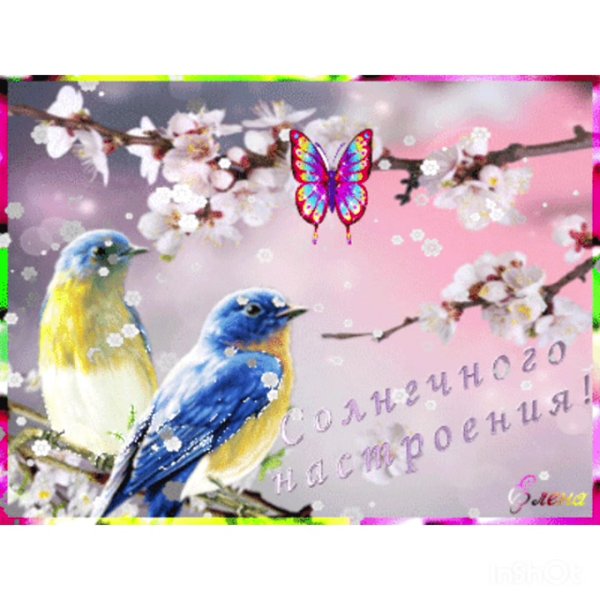 Доброготвесеннего дня!