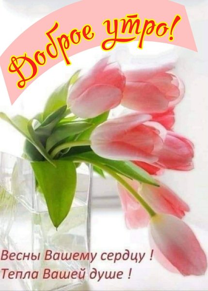 Цветы весенние с добрыми пожеланиями