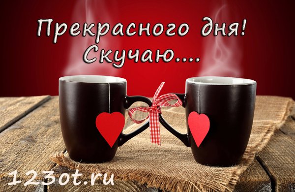 Хорошего дня любимый