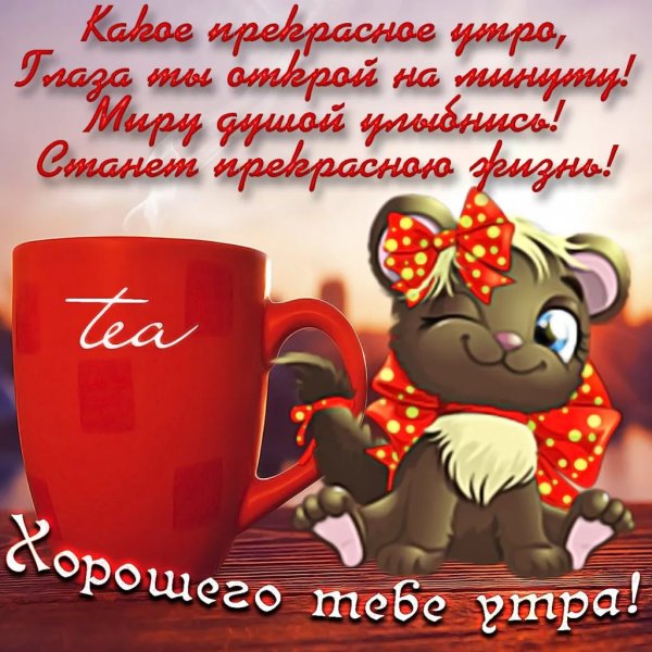 Открытки с добрым утром прикольные
