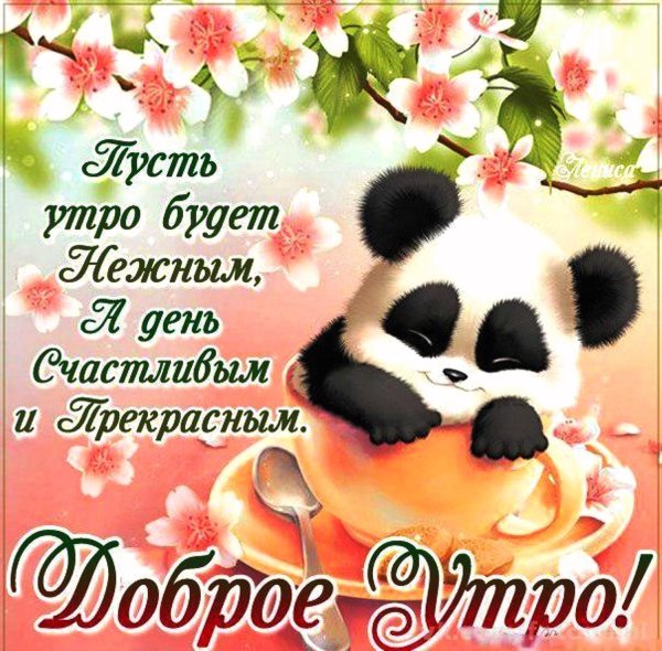 Открытка с добрым утром девушке