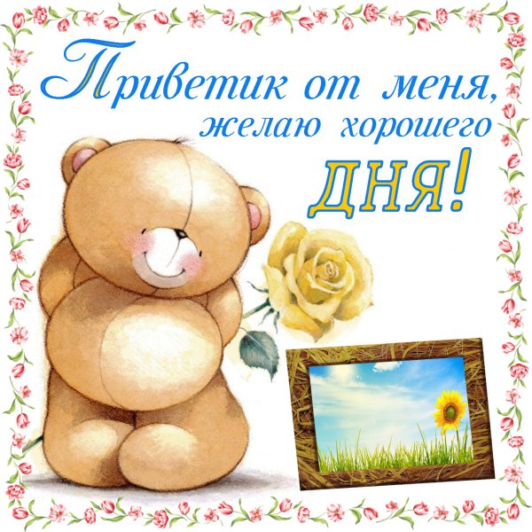 Хорошего дня картинки
