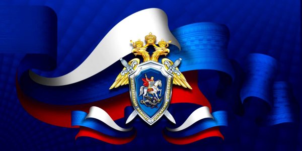День Следственного комитета РФ