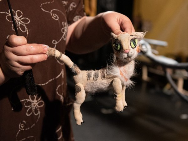 Кукольник фото