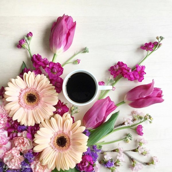 Красивые пожелания с добрым утром