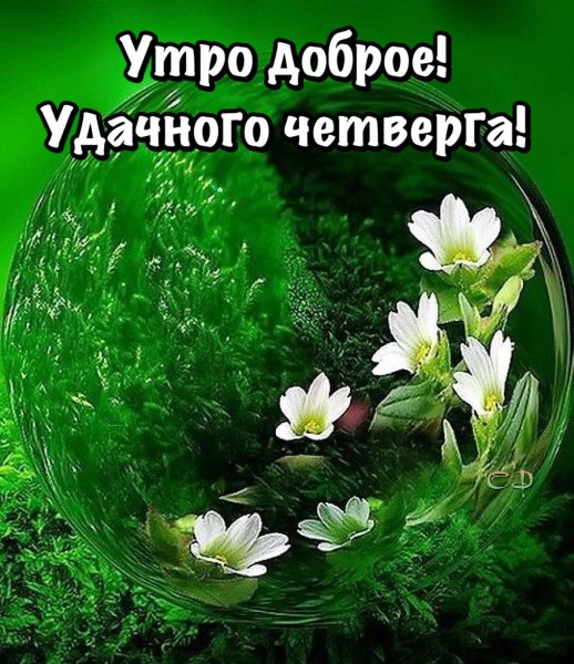 С добрым утром четверга