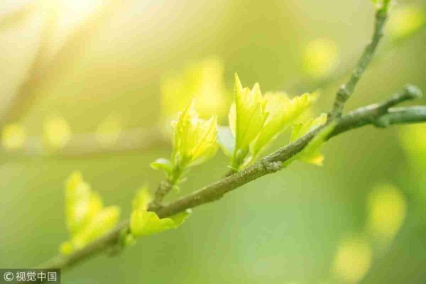 День весеннего равноденствия фото