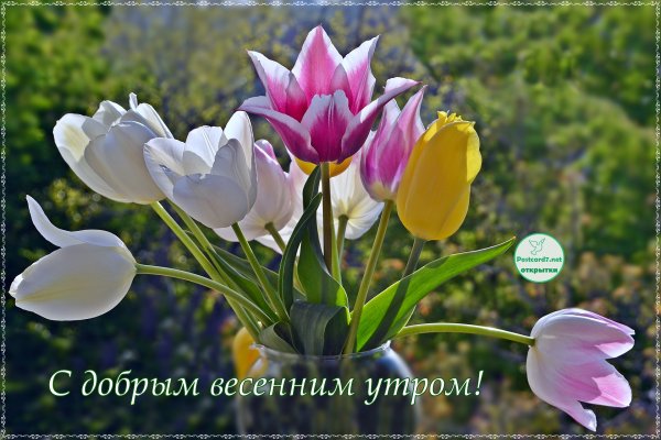 Открытки с добрым утром весенние