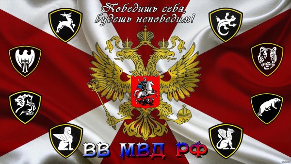 ВВ МВД РФ 27 марта