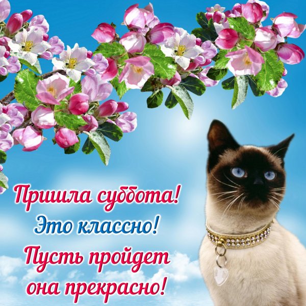 Открытки с добрым субботним днем