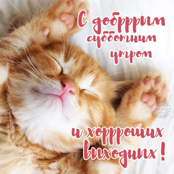 Поздравления с субботой прикольные