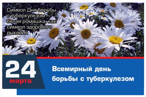 Всемирный день борьбы с туберкулезом