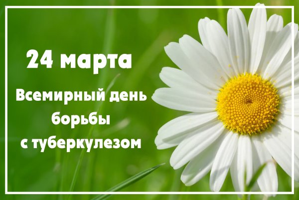 Туберкулез 24 марта Всемирный день борьбы с туберкулезом