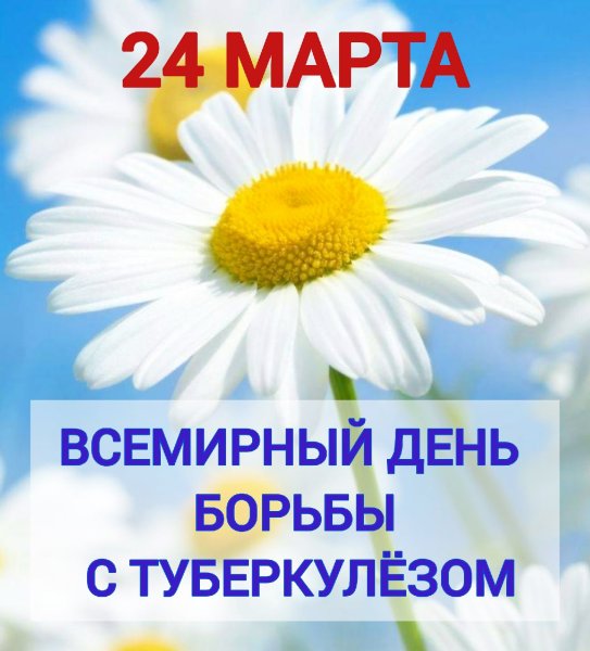 24 Марта белая Ромашка туберкулез