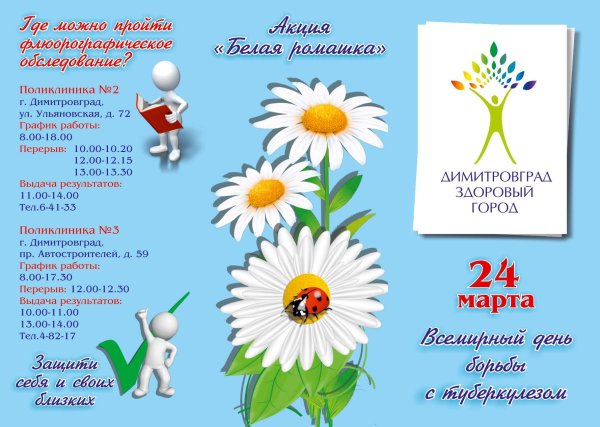 Белая Ромашка день борьбы с туберкулезом