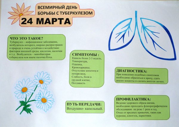 Белая Ромашка символ борьбы с туберкулезом