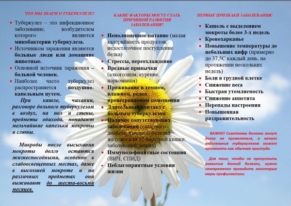 Буклет профилактика туберкулеза
