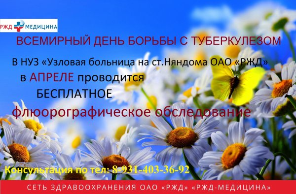Ромашка символ туберкулеза