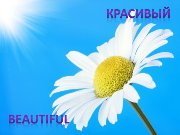 Всемирный день борьбы с туберкулезом